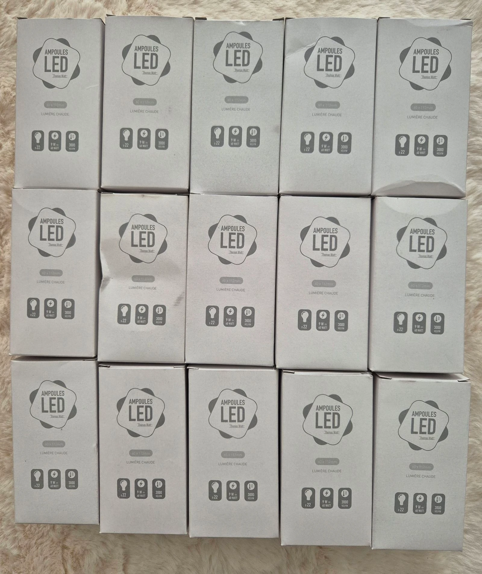Ampoules led B22 